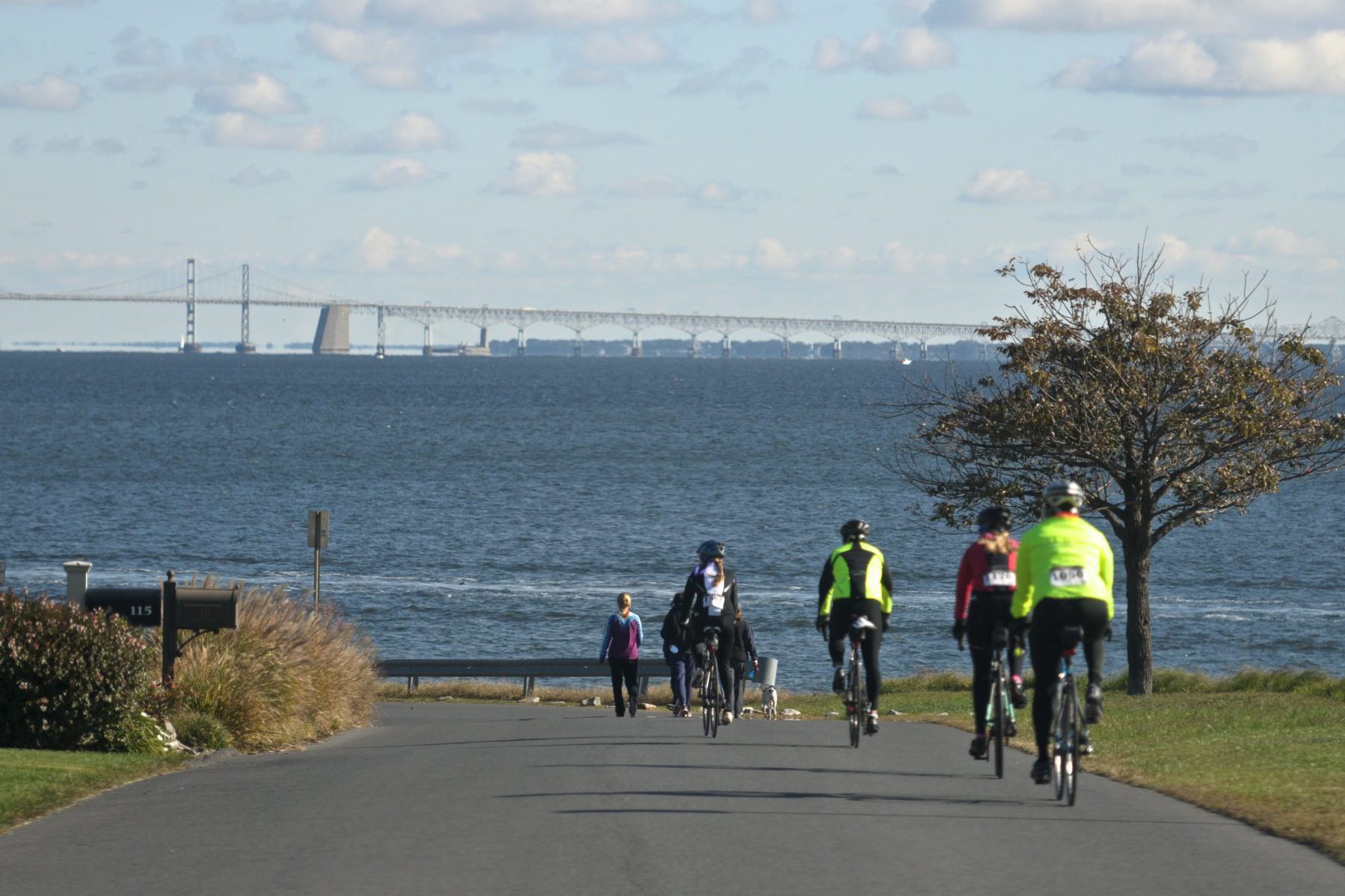 A group of cyclists approaching the bay, with the Chesapeake Bay Bridge visible in the distance.